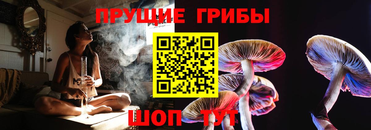 Бугуруслан  Псилоцибиновые грибы Psilocybe  Вход с VPN 